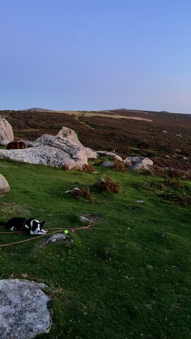 Haven’t managed to wild camp on Dartmoor since May, but what a night to fix that! Totally clear skies, a crescent moon setting early and no wind gave perfect conditions for myself and @astropostie to get out with the cameras, tents and wine. More processing and editing to do but so happy to get a dark sky camp done.